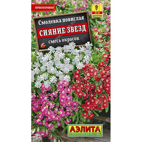 Смолевка Сияние звезд Аэлита Ц