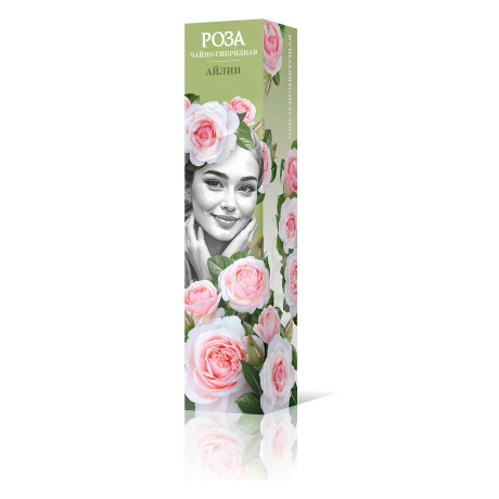 Роза чайно-гибридная Айлин Садовита