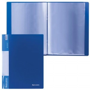Папка  20 вклад. BRAUBERG "Стандарт" синяя, 0,6мм 221595