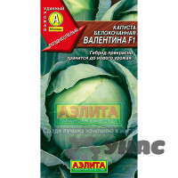 Капуста Валентина Аэлита Ц
