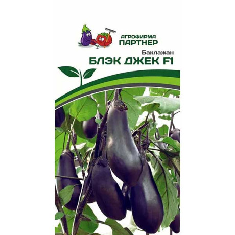 Баклажан Блэк Джек Партнер Ц