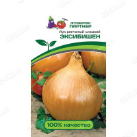 Лук Эксибишен Партнер Ц