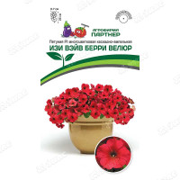 Петуния Изи Вэйв Берри Велюр Партнер Ц