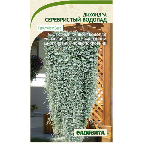 Дихондра Серебристый водопад 3шт PA/Садовита Ц