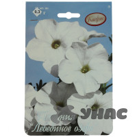 К Петуния Лебединое озеро Белая Каприс