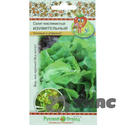 Салат Изумительный маслянистый (Вкуснятина) НК Ц