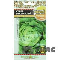 Салат Маслянистый Русский размер НК Ц