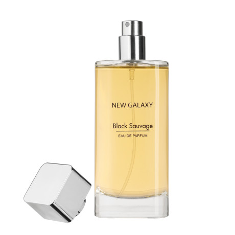 NEW GALAXY Парфюмерная вода мужская Black Sauvage, 100 мл