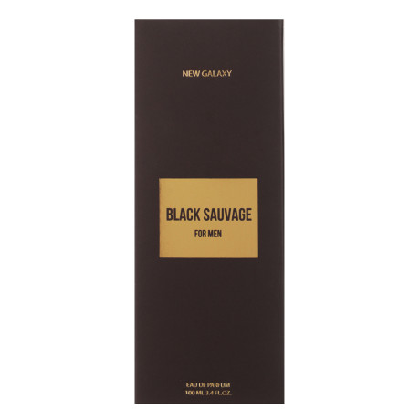 NEW GALAXY Парфюмерная вода мужская Black Sauvage, 100 мл