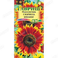 Подсолнечник Глориоза Ивнинг Гавриш Цх10
