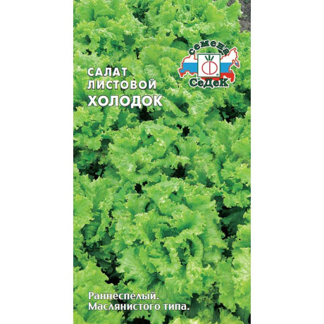 Салат Холодок (лист) Седек Ц