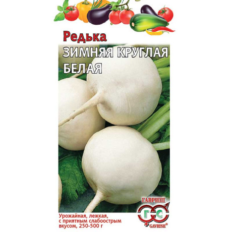 Редька Зимняя круглая белая Гавриш Ц