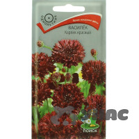 Василек Карлик красный Поиск Ц