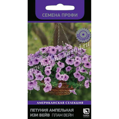 Петуния Изи Вейв Плам Вейн Поиск Ц