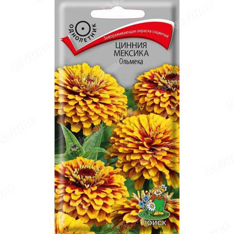 Циния Мексика Ольмека Поиск Ц