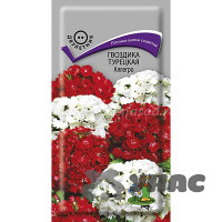 Гвоздика Турецкая Аллегро Поиск Ц