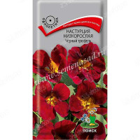 Настурция Черный трюфель низкоросл Поиск Ц