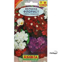 Вербена Флорист Аэлита Ц