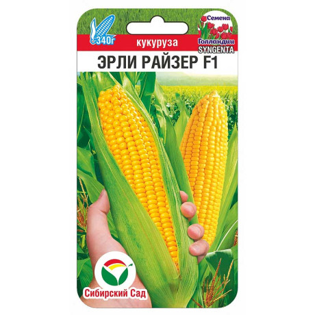 Кукуруза Эрли Райзер СибСад Ц