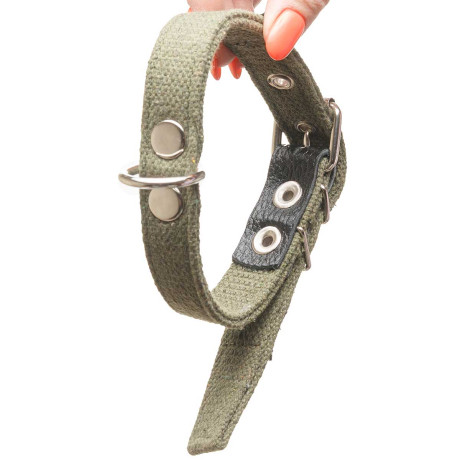 Ошейник брезент ширина 20 мм, двойной с вынесенным кольцом усиленный 45 см