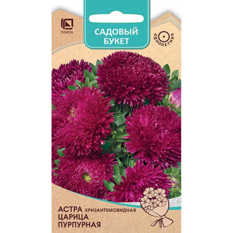 Астра Царица Пурпурная Поиск Ц