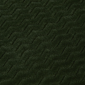 PROVANCE Эвкалипт Плед микрофибра, 180х200см, 300гр/м, зеленый