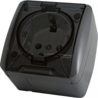 TDM Селигер роз. ОУ 1 мест. земля IP54 16А прозрачная крышка графит (10!) SQ1818-0307