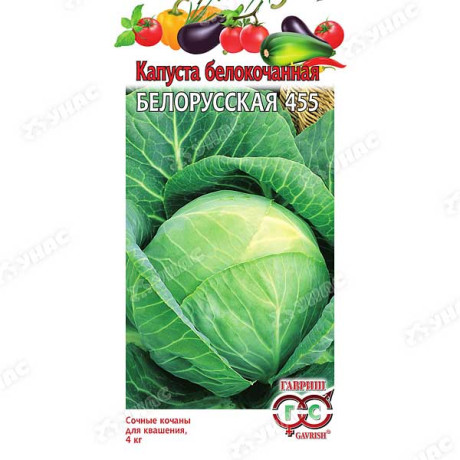 Капуста Белорусская Гавриш Ц