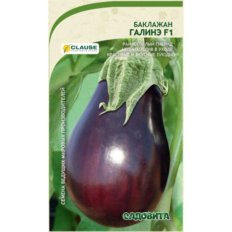Баклажан Галинэ F1 5шт Clause/Садовита Ц