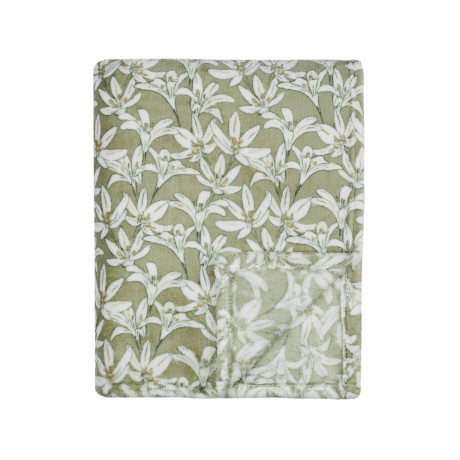 PROVANCE Эвкалипт Плед микрофибра, 150х200см, 230гр/м, зеленый