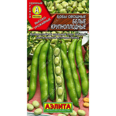 Бобы Белые крупноплод. Аэлита Ц