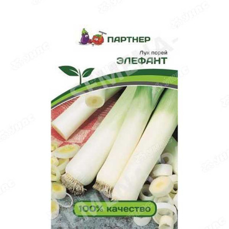 Лук порей Элефант Партнер Ц