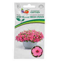 Петуния Изи Вэйв Неон Роуз Партнер Ц