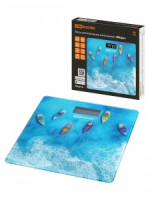 Весы напольные эл. TDM &quot;Море&quot;, стекло, деление 100г, до 180 кг, 28*28см SQ4012-0008