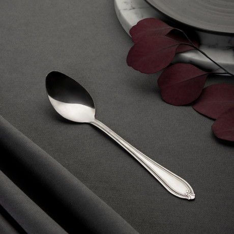 Бристоль Ложка столовая, 18,9см