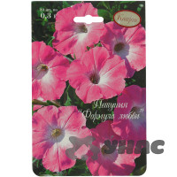 К Петуния Формула любви розовая Каприс