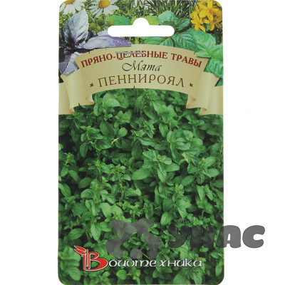 Мята Пеннироял Биотехника Ц