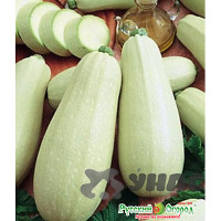 Кабачок Горный НК Ц