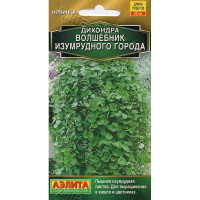 Дихондра Волшебник Изумрудного города Аэлита