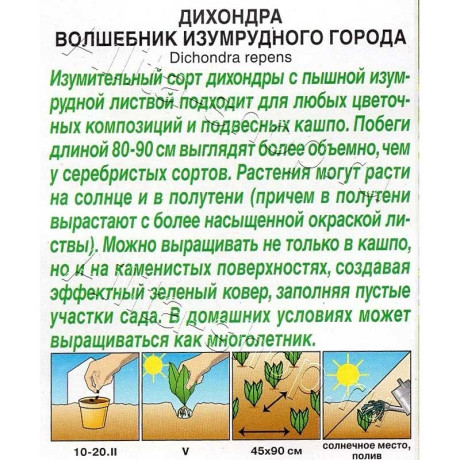 Дихондра Волшебник Изумрудного города Аэлита