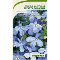 Семена Лобелия Регатта Блю Скай 3др РА/Садовита Ц