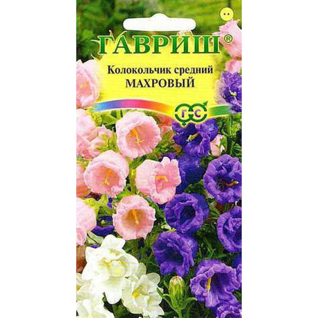 Колокольчик махровый средний Гавриш Ц