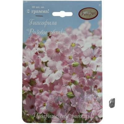 К Гипсофила Розовое облако Розовая Каприс