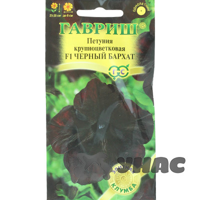 Петуния Черный бархат Гавриш Ц