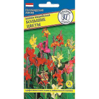 Канна Большие цветы Престиж Ц