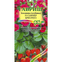 Клубника Саммер Бриз Роуз Гавриш Ц