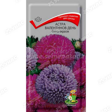 Астра Валентинов день Смесь Поиск Ц