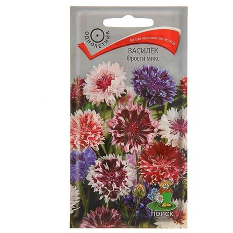 Василек Фрости микс Поиск Ц