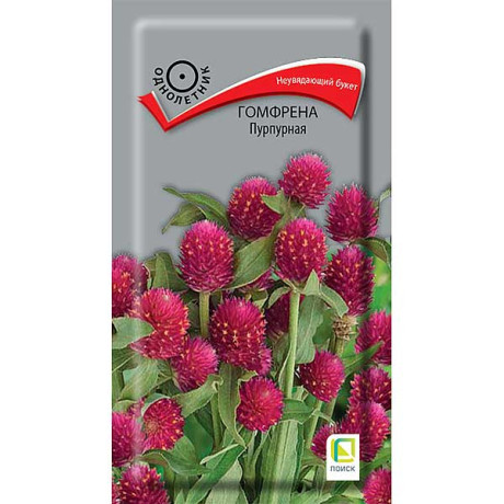 Гомфрена Пурпурная Поиск Ц