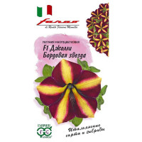 Петуния Джолли бордовая звезда Гавриш Ц